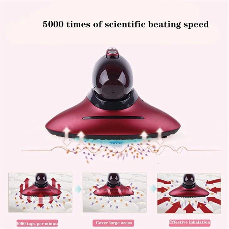 a bed bug vacuum cleaner
